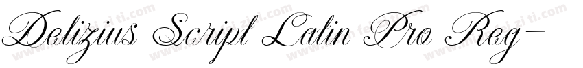 Delizius Script Latin Pro Reg字体转换